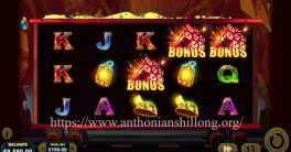 https://www.anthonianshillong.org/